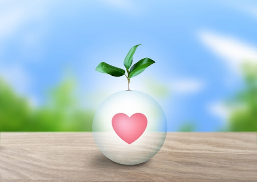 火災後の残置物撤去：知られざる7つのテクニックと保険活用のコツ（※イメージ5）